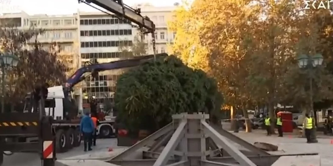 Το χριστουγεννιάτικο δέντρο στήθηκε στην πλατεία Συντάγματος - Έλατο 21 μέτρων από το Καρπενήσι [βίντεο]