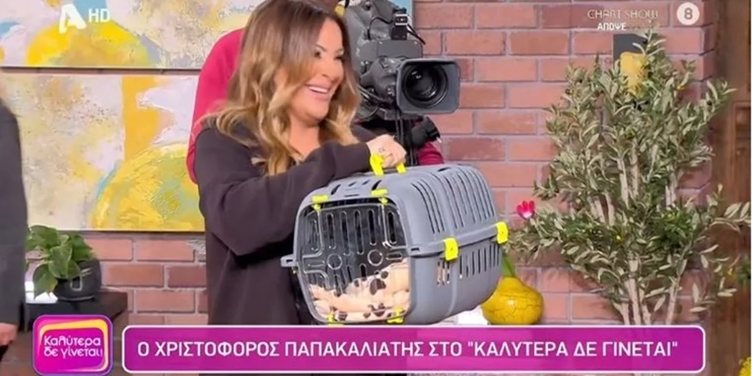 Ναταλία Γερμανού | Τα αρνητικά σχόλια στο Twitter για τη γάτα που χάρισε στον Παπακαλιάτη