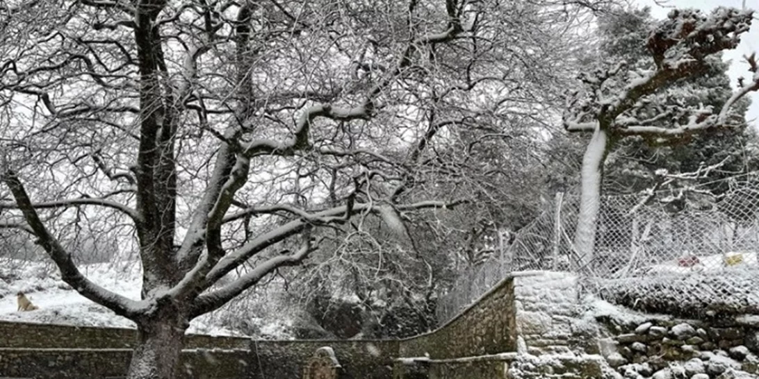Κακοκαιρία Coral: Κύμα ψύχους με θυελλώδεις βοριάδες έως και τη Δευτέρα - Ποιες περιοχές μπαίνουν στην κατάψυξη