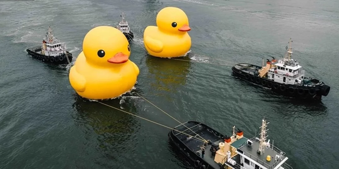 Rubber Duck | Η αγαπημένη λαστιχένια πάπια του Χονγκ Κονγκ