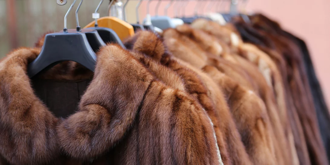 Οι οίκοι Saint Laurent και Brioni γυρίζουν την πλάτη στην ζωική γούνα