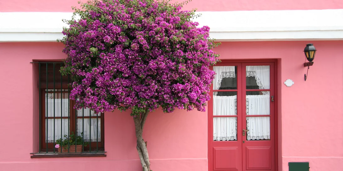 Κατάργηση φόρου γονικών παροχών από 1ης Οκτωβρίου | Πόσα γλιτώνουν οι γονείς στις μεταβιβάσεις- Αναλυτικά παραδείγματα