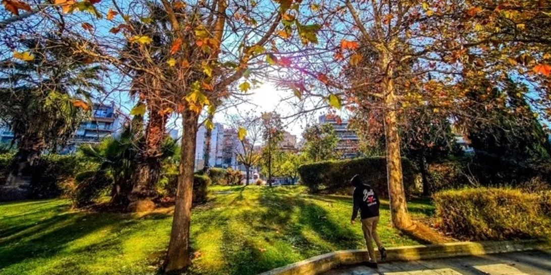 Καιρός | Σε υψηλά για την εποχή επίπεδα η θερμοκρασία - "Με αλκυονίδες ημέρες θα υποδεχτούμε τον Φλεβάρη"