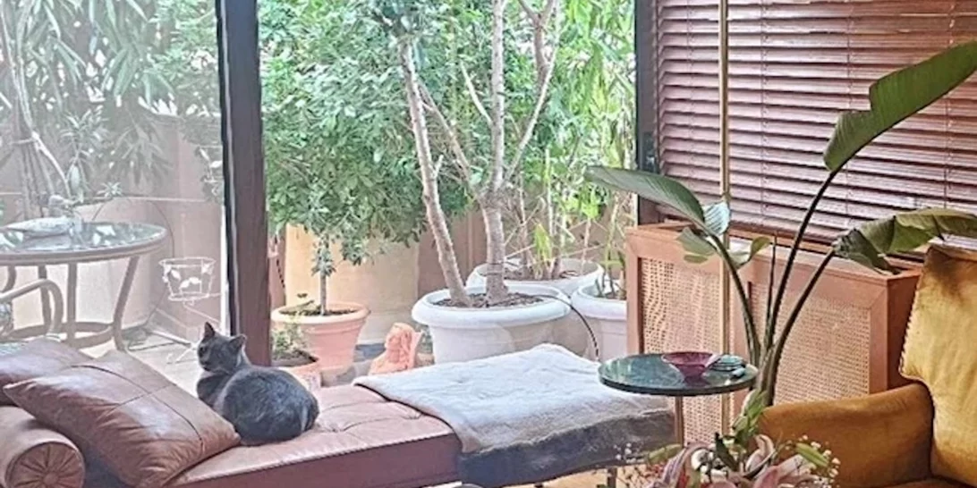 Κι όμως δεν είναι στο Μπαλί αλλά στην καρδιά της Αθήνας | Το εξωτικό διαμέρισμα της Νατάσας Μποφίλιου
