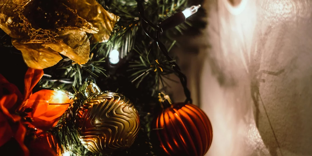 Τα ζώδια σήμερα 13/12 | Ημερήσιες προβλέψεις για κάθε ζώδιo