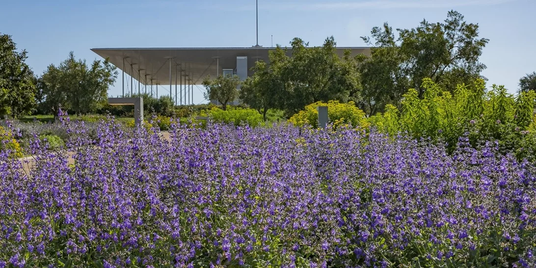 Πρωτομαγιά στο ΚΠΙΣΝ | Συναυλία με τους Sakaraka Orchestra και δραστηριότητες για παιδιά στο Πάρκο Σταύρος Νιάρχος