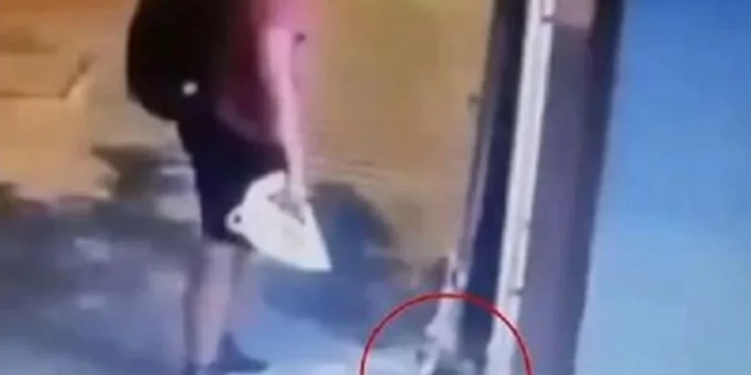 Αποκάλυψη | Διδάκτωρ του ΑΠΘ είναι ο άντρας που έλιωσε με το πόδι του το γατάκι στη Θεσσαλονίκη