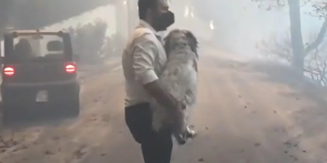Συγκίνησε τους πάντες ο ρεπόρτερ του Star που έσωσε τραυματισμένο σκυλάκι από τις φλόγες