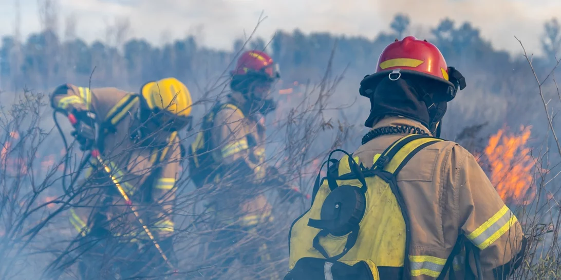Φωτιά στην Αλεξανδρούπολη | "Η πυρκαγιά πια περνάει στον νομό Ροδόπης", λέει ο δήμαρχος