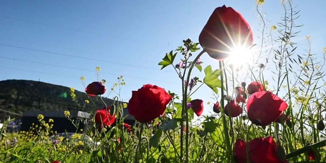 Καιρός: Με "καλοκαιρινές" θερμοκρασίες έως και τη Δευτέρα του Πάσχα - Αναλυτικά η πρόγνωση για το σούβλισμα του οβελία