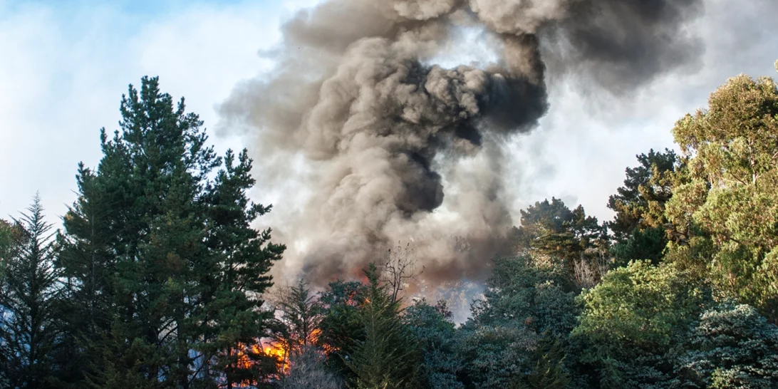 Νέα φωτιά στη Εύβοια: Ξέσπασε σε δασική έκταση στις Πετριές - Πνέουν ισχυροί άνεμοι [εικόνες]