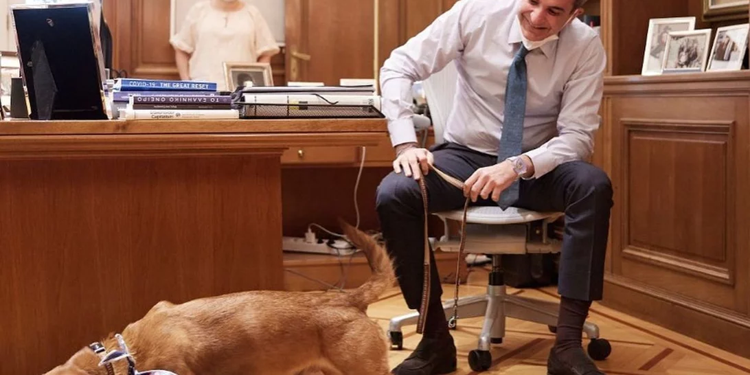 Στο Μαξίμου ο Πίνατ, το αδέσποτο που υιοθέτησε ο πρωθυπουργός