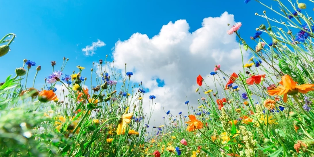 Εορτολόγιο | Ποιος γιορτάζει σήμερα Κυριακή του Πάσχα - Μεγάλη γιορτή