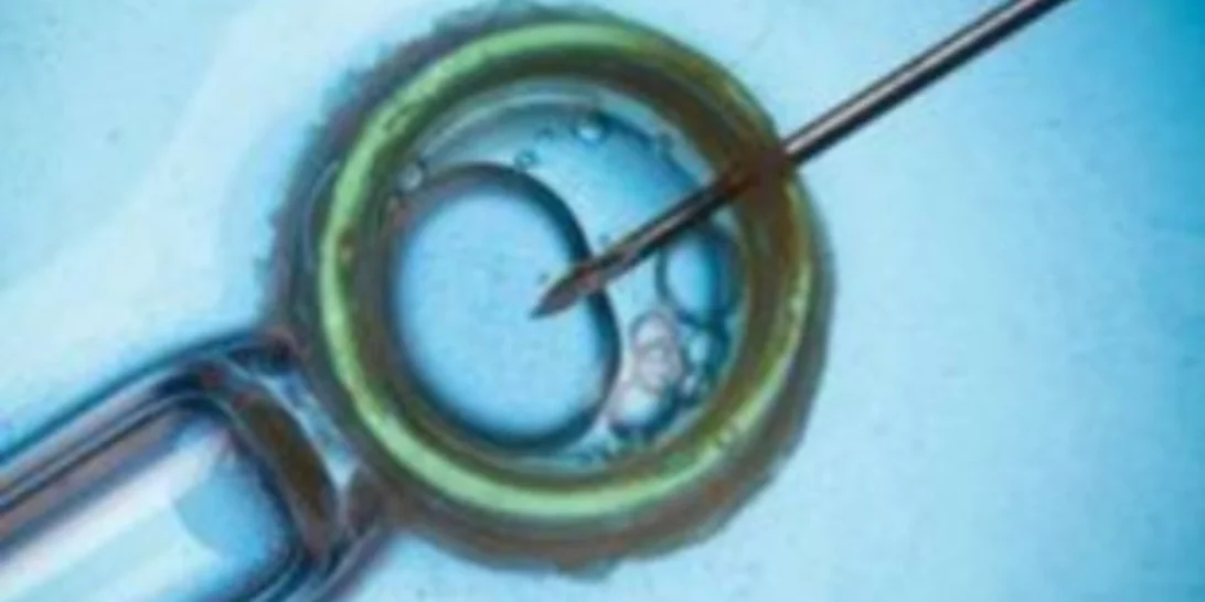 ΠΟΥ: Ένας στους έξι ανθρώπους παγκοσμίως εμφανίζει υπογονιμότητα