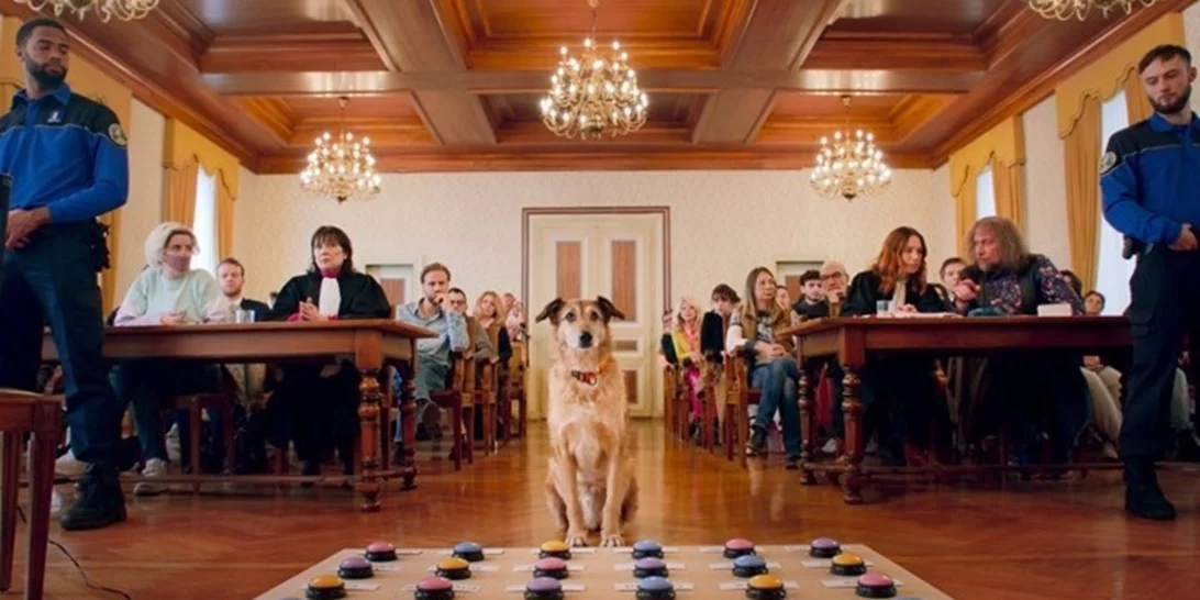 Ταινίες Πρώτης Προβολής | Ο Βrad Pitt στο βολάν κι ένας σκύλος στο εδώλιο του κατηγορούμενου