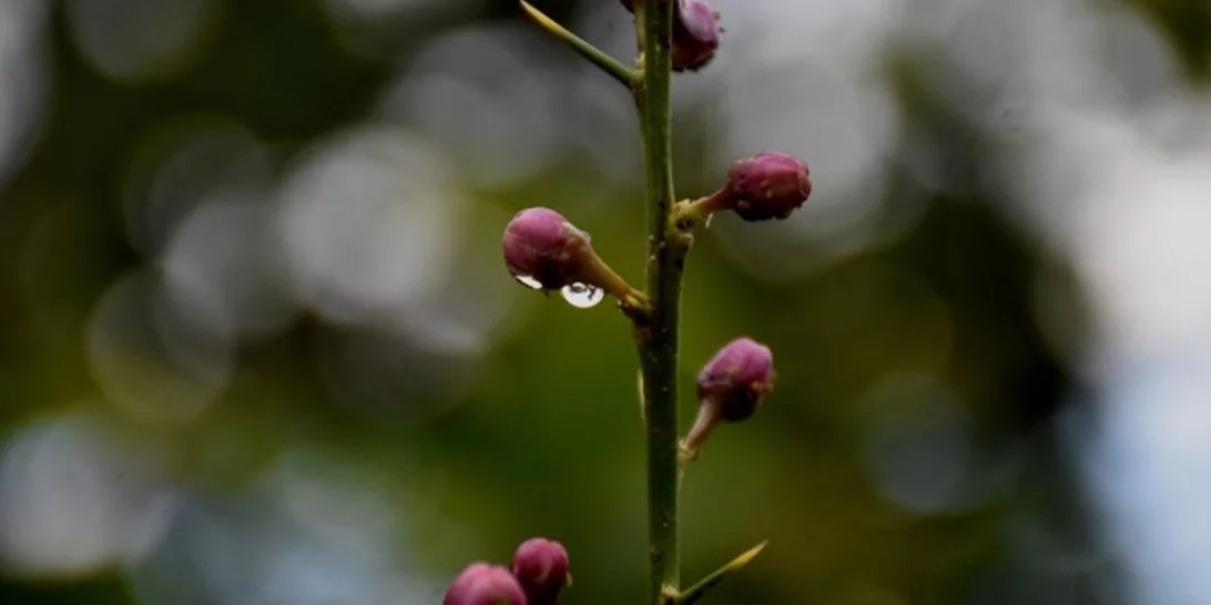 "Τρελός" καιρός και σήμερα | Συνεχίζονται οι βροχές, αλλά ο υδράργυρος σκαρφαλώνει στους 26 βαθμούς