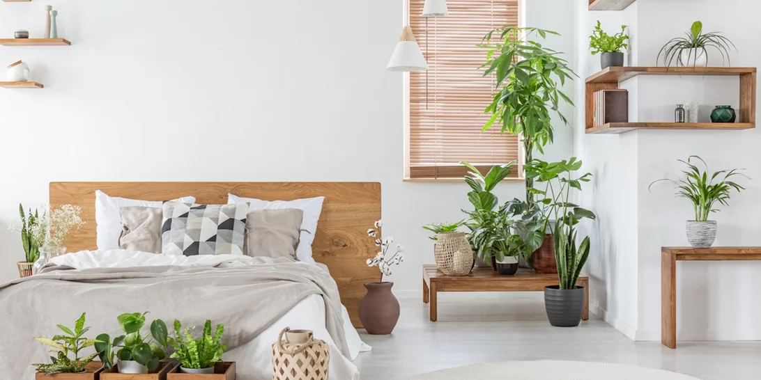 Δυσκολεύεσαι να κοιμηθείς; 5 φυτά που θα βοηθήσουν την ποιότητα του ύπνου σου