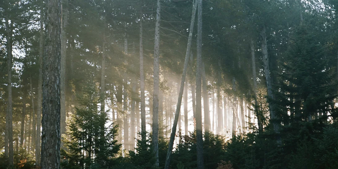 Ανακαλύψαμε τα προϊόντα που θα σου χαρίσουν νεανική όψη σε μόλις 2 εβδομάδες