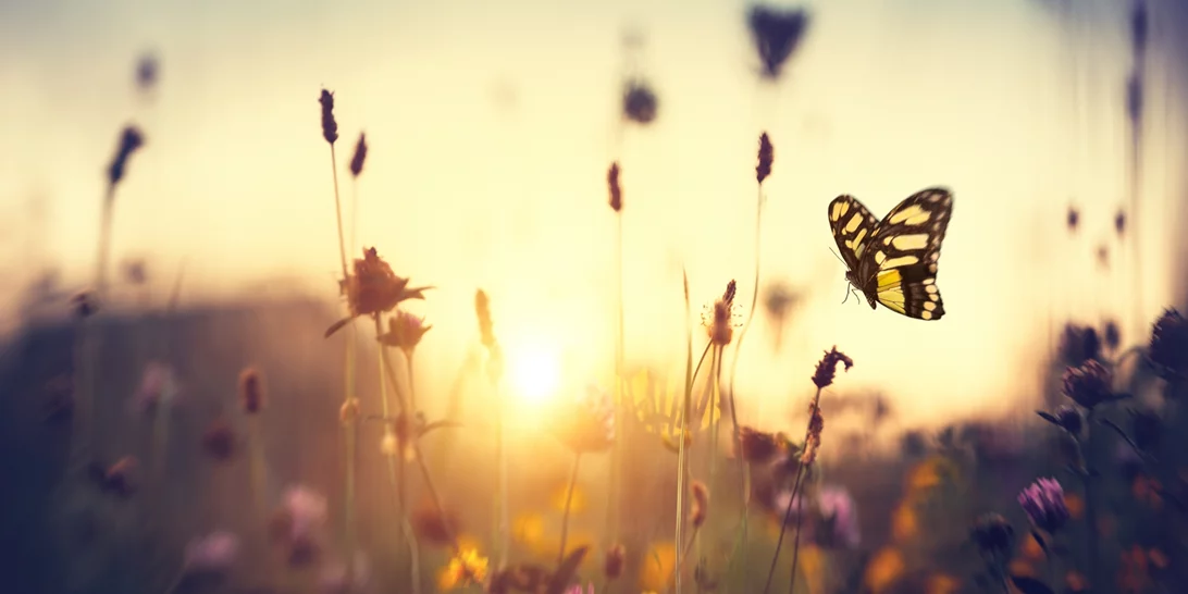 Τα ζώδια σήμερα 14/03 | Ημερήσιες προβλέψεις για κάθε ζώδιο