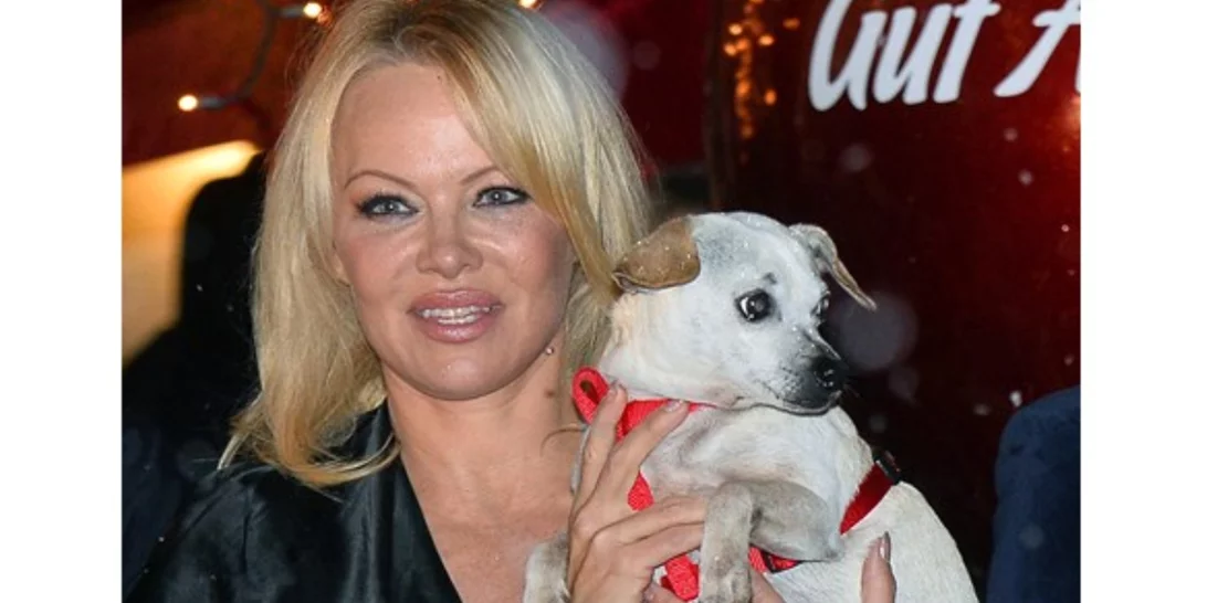 Pamela Anderson | Δηλώνει έτοιμη να κάνει άλλο ένα παιδί