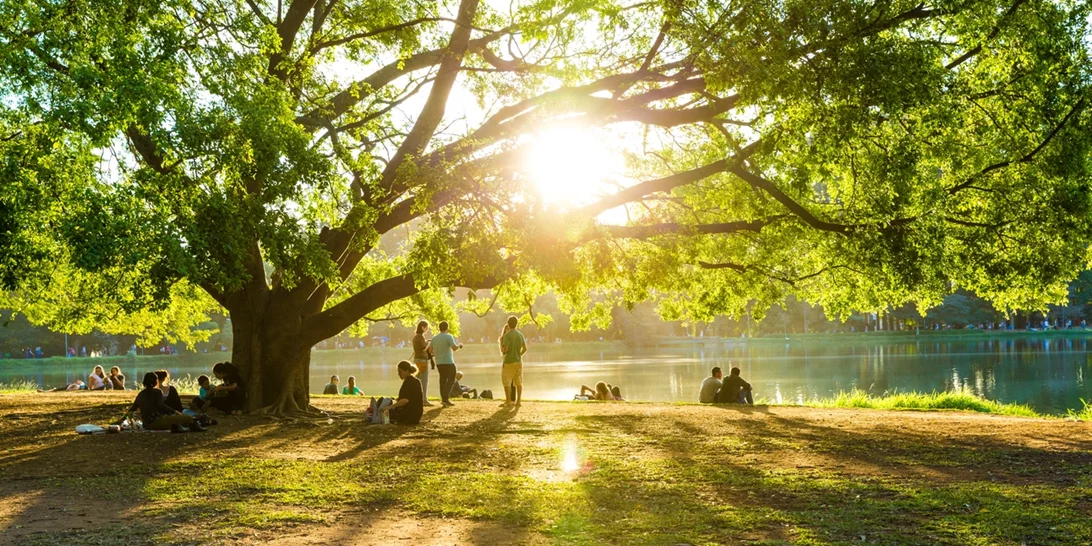 Δάση και χώροι πρασίνου μειώνουν τους κινδύνους για την υγεία