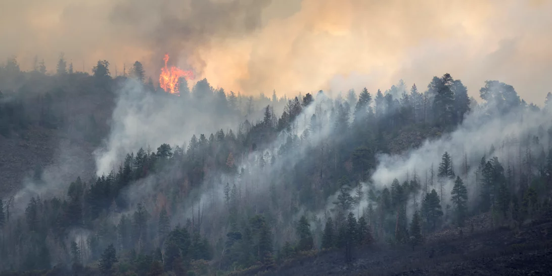 Φωτιά στην Εύβοια | Μάχη σε Καματριάδες, Αβγαριά και Καμάρια - Τιτάνια προσπάθεια να μην φθάσει στην Ιστιαία