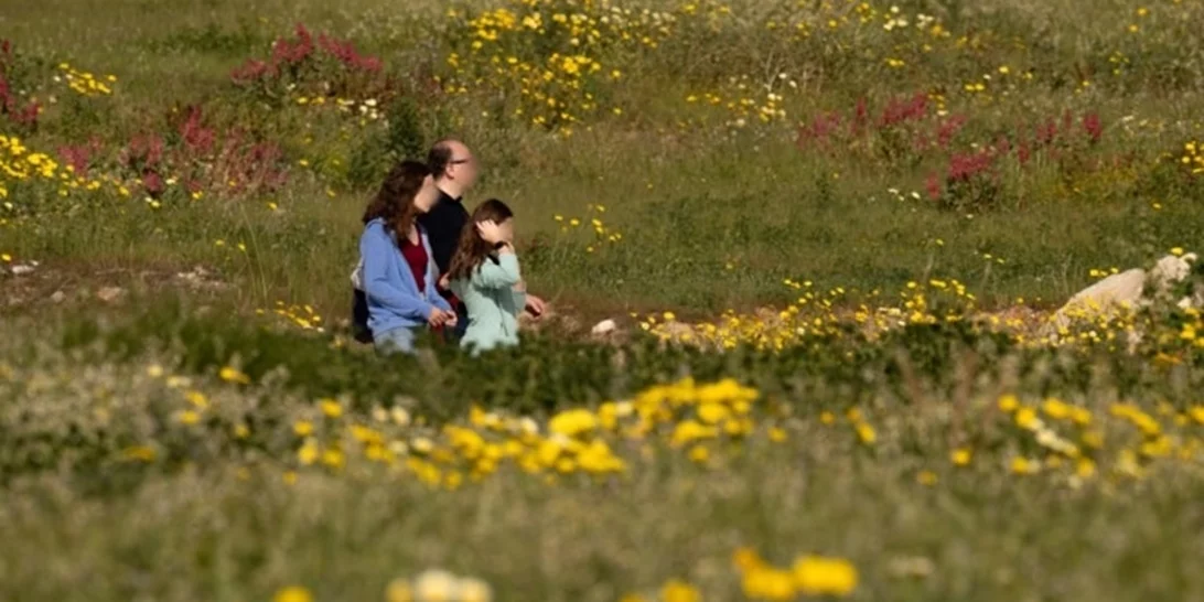 Αίθριος ο καιρός σήμερα με άνοδο της θερμοκρασίας - Ερχεται ανοιξιάτικο Σαββατοκύριακο