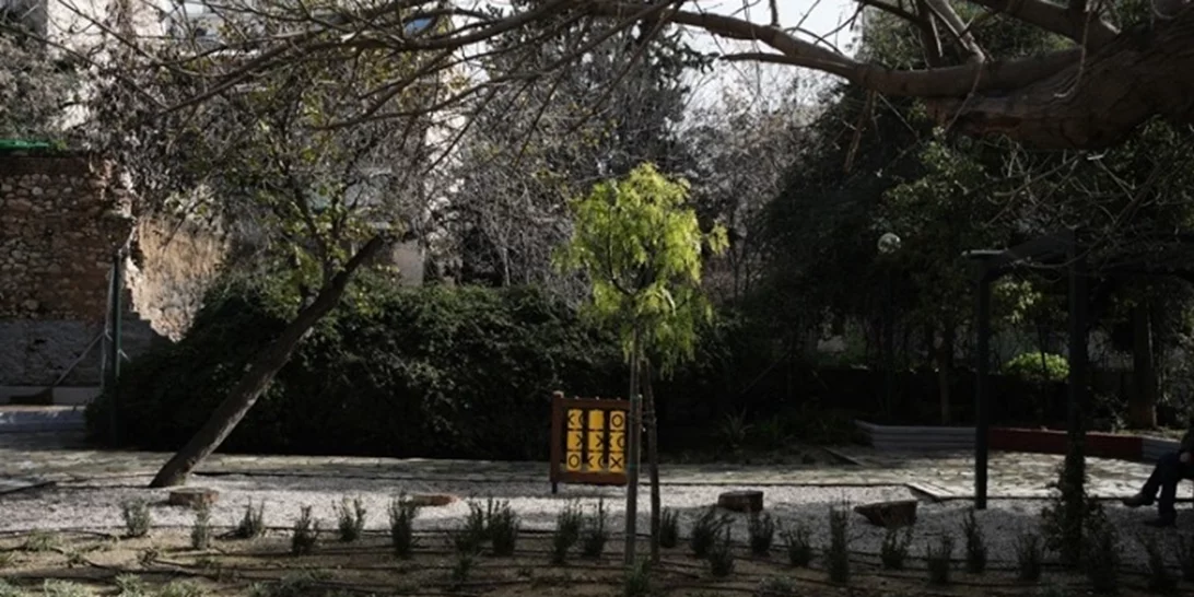 Η αναγκαιότητα των δέντρων της Αθήνας και οι προκλήσεις που αντιμετωπίζουν