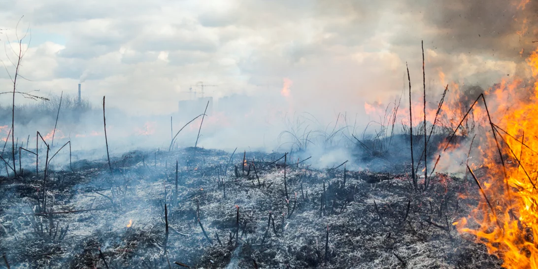 Φωτιά στην Εύβοια | Στάχτη έγιναν πάνω από 510.000 στρέμματα - Νέες εικόνες από δορυφόρο