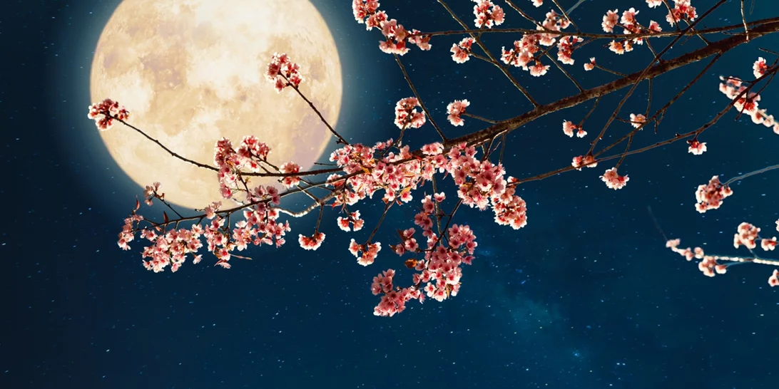 Ροζ Πανσέληνος Απριλίου: Τα 4 ζώδια που επηρεάζονται από το φεγγάρι της άνοιξης