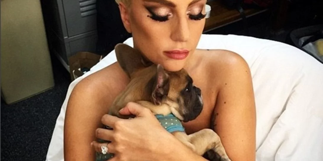 Lady Gaga | Σοκ στο Hollywood με δολοφονική επίθεση και 4 πυροβολισμούς