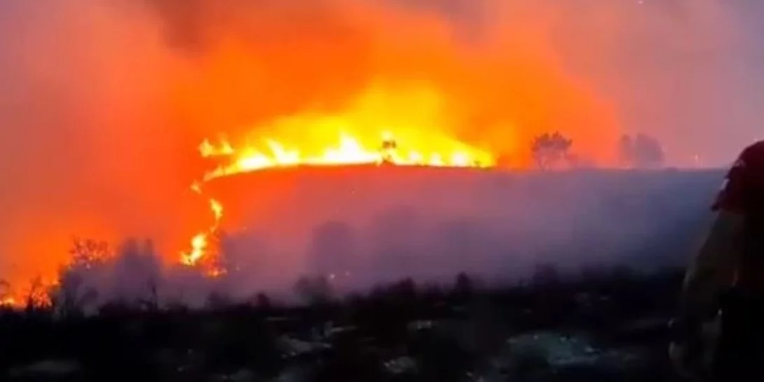 Εκκενώθηκε ο Κρεμαστός Ευβοίας | Σε απόσταση αναπνοής από τα σπίτια οι φλόγες - Ενισχύθηκαν ξανά οι πυροσβεστικές δυνάμεις