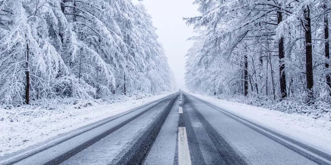 Κακοκαιρία "Barbara"| Πούλμαν εγκλωβίστηκε στο καταφύγιο της Δίρφυς - Επιστρέφουν με τα πόδια οι 40 επιβάτες