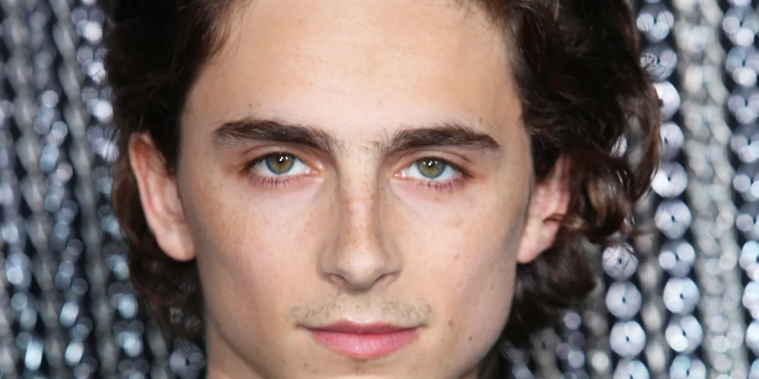 Ο Timothée Chalamet είναι ο γιος του Edward Scissorhands