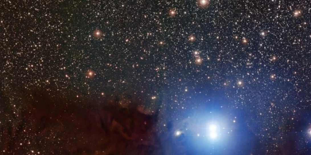 Λυρίδες: Τα πεφταστέρια της άνοιξης έχουν άρωμα "Θάτσερ"