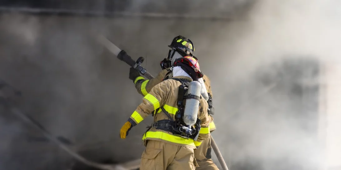 Σε ύφεση η φωτιά στο Αλιβέρι | Συνελήφθη ο 75χρονος που "κάπνιζε" μελίσσια
