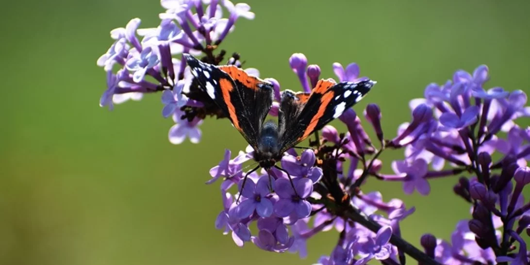 Με σκαμπανεβάσματα ο καιρός όλη τη Μεγάλη Εβδομάδα | Από καταιγίδες σε... άνοιξη - Πώς θα σουβλίσουμε