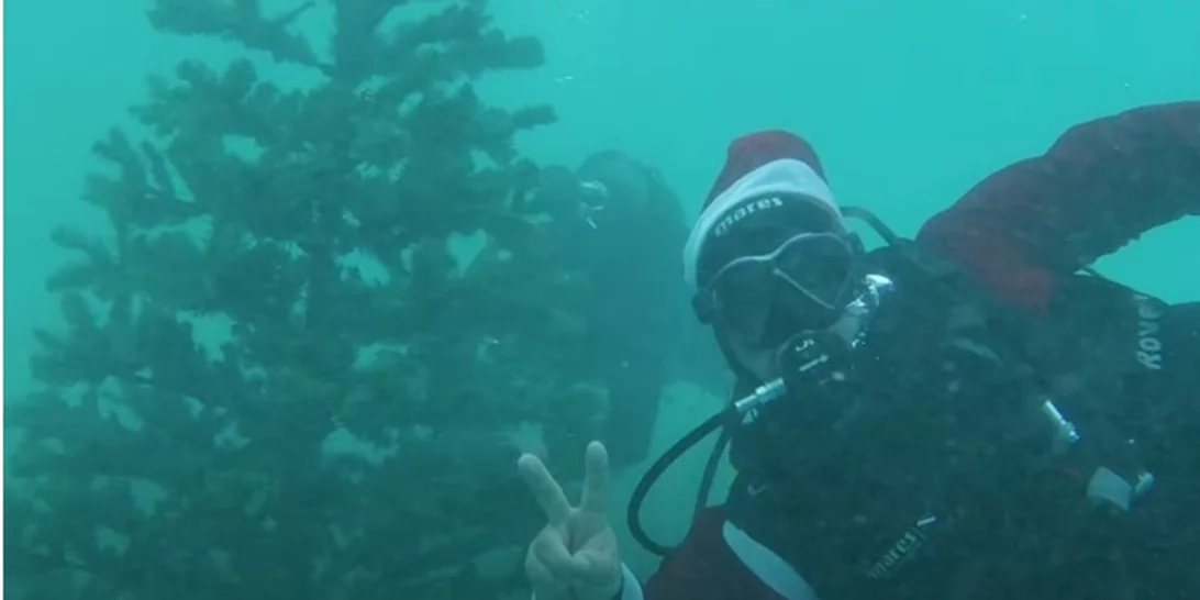 Στην Αλόννησο το χριστουγεννιάτικο δέντρο στολίζεται από δύτες στον βυθό της θάλασσας