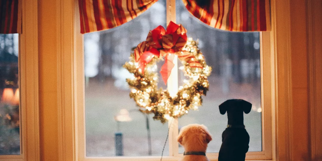 Τα ζώδια σήμερα 24/12 | Ημερήσιες προβλέψεις για κάθε ζώδιo