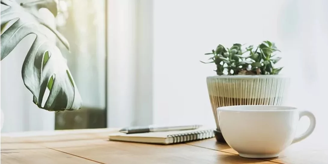 8 βότανα που βοηθούν στην απαλλαγή του οργανισμού από τις τοξίνες