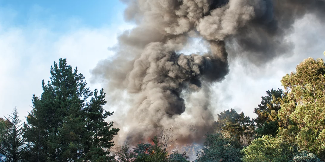 Νότια Εύβοια | Φωτιά στο Θύμι Καρύστου - Πνέουν ισχυροί άνεμοι