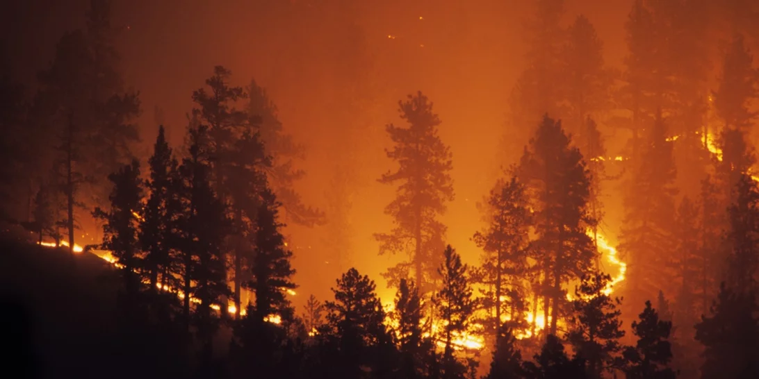 Επτά απειλητικές πυρκαγιές μέσα σε λίγες ώρες | Το επικίνδυνο πυρομετεωρολογικό "κοκτέιλ" - Σε γενική επιφυλακή οι Αρχές