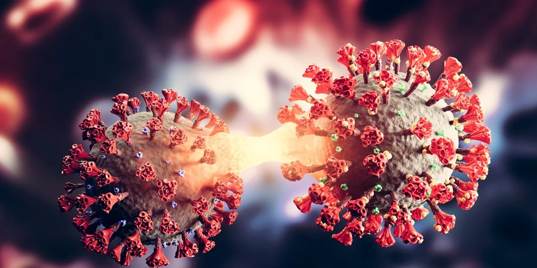 ΠΟΥ: Τέλος στην παγκόσμια υγειονομική κατάσταση έκτακτης ανάγκης για την ευλογιά των πιθήκων