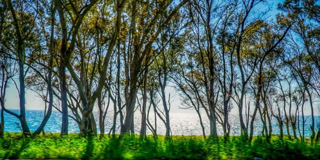 Καιρός | Ανεβαίνει και άλλο ο υδράργυρος, θα φτάσει τους 23 βαθμούς - Πού θα σημειωθούν τοπικές βροχές
