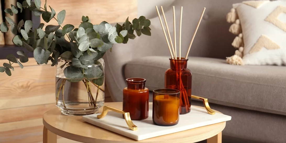 Διακόσμησε με ευκάλυπτο το σπίτι σου όπως η Εβελίνα Νικόλιζα - Τα 5 οφέλη του