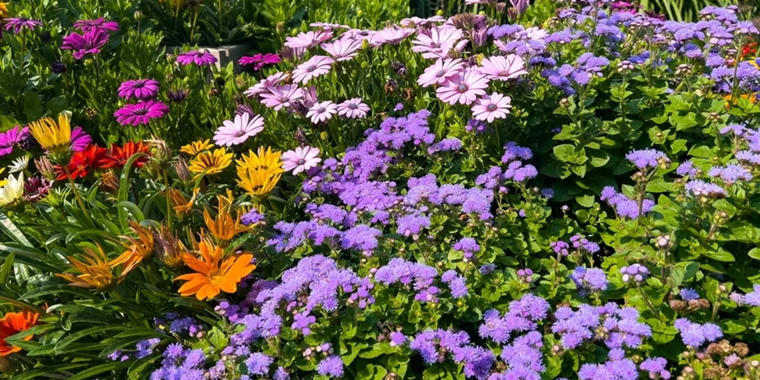 Εορτολόγιο | Ποιος γιορτάζει σήμερα Μεγάλη Δευτέρα