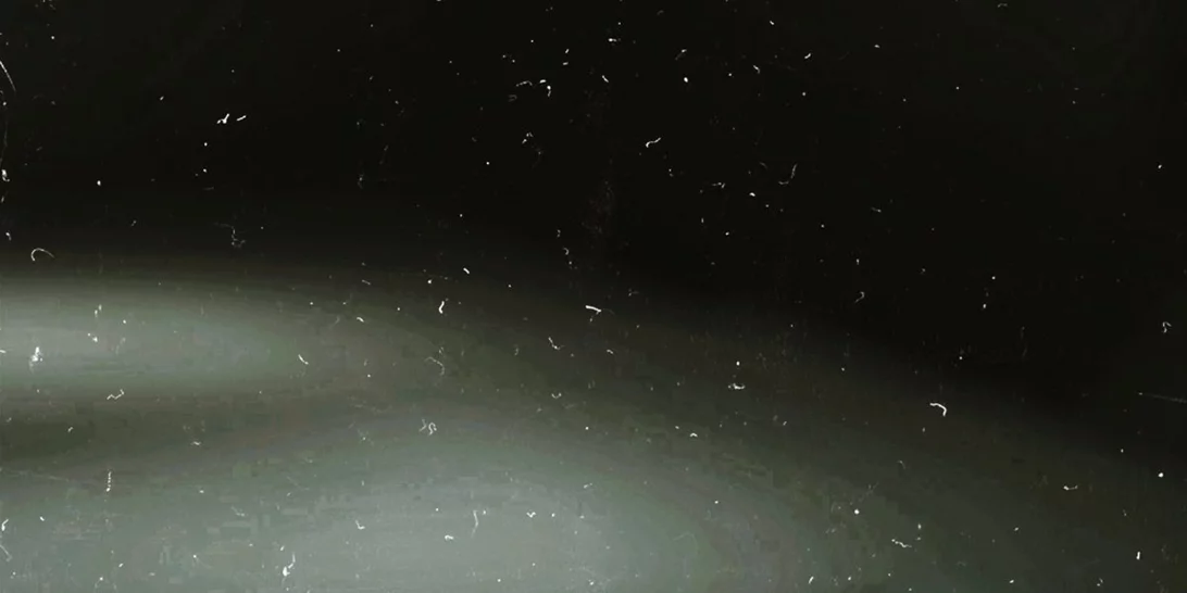 Κέικ καρότου με βρόμη χωρίς αλεύρι, χωρίς βούτυρο και με λίγη ζάχαρη