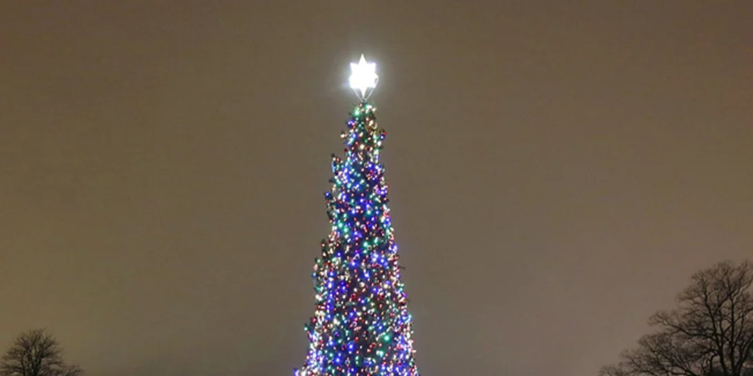 Oh Christmas Tree(s), σε όλο τον κόσμο!
