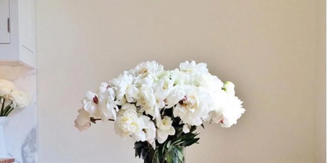 30/1: Αυτοί είναι οι Instagram λογαριασμοί που θέλουμε να ακολουθούμε τώρα