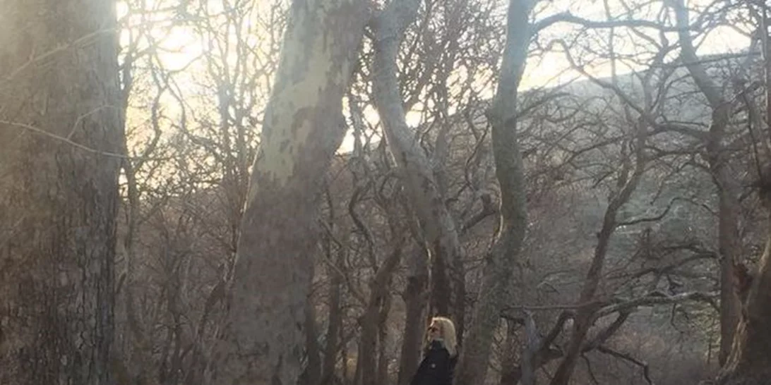 Πλήθος επωνύμων στην επίσημη πρεμιέρα της παράστασης «Ταξίδι στο Σταυρό του Νότου»